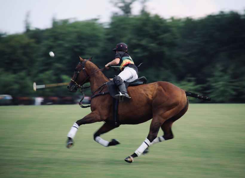 A person playing polo.