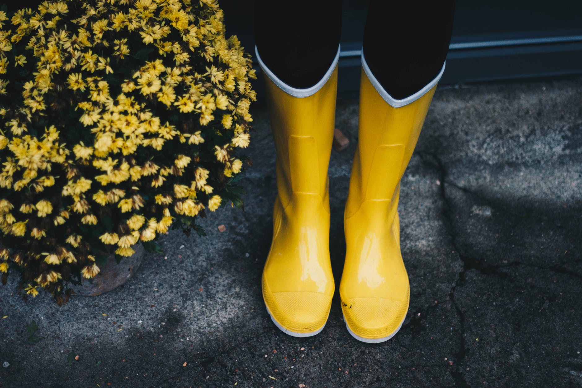 Yellow boots.
