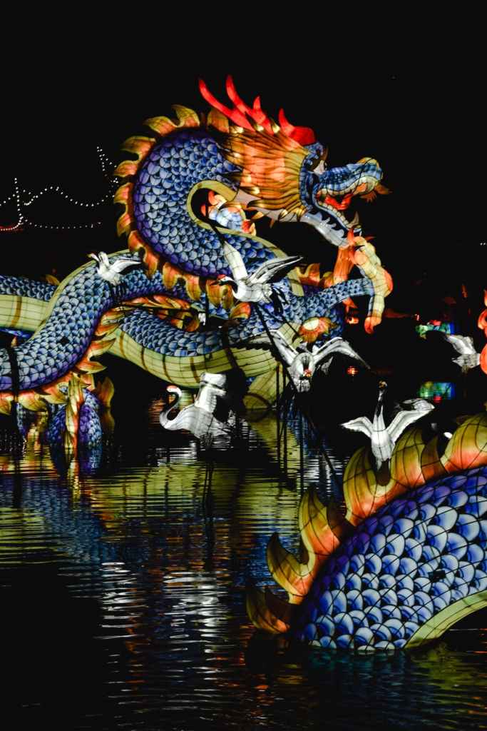 An illuminated dragon statue.