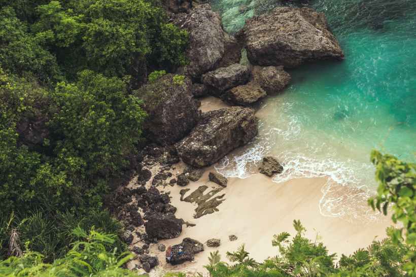 A shoreline with trees and rocks from above.