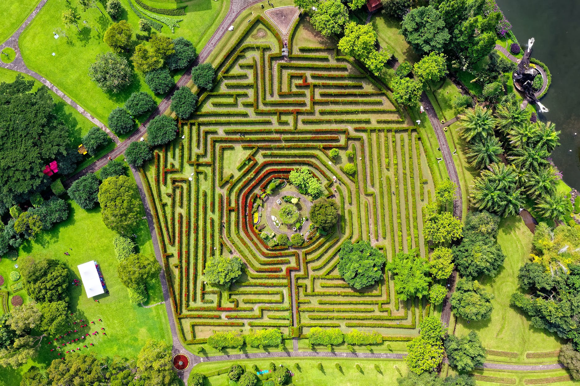 A hedge maze, seen from above.