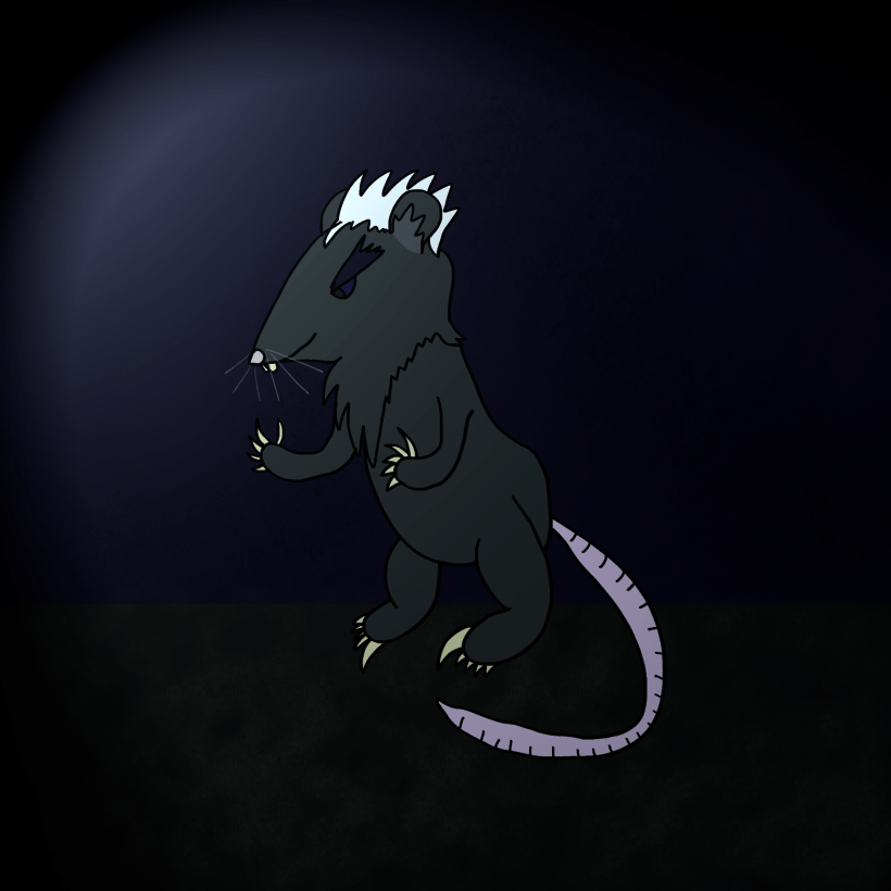A large rat against a dark background.