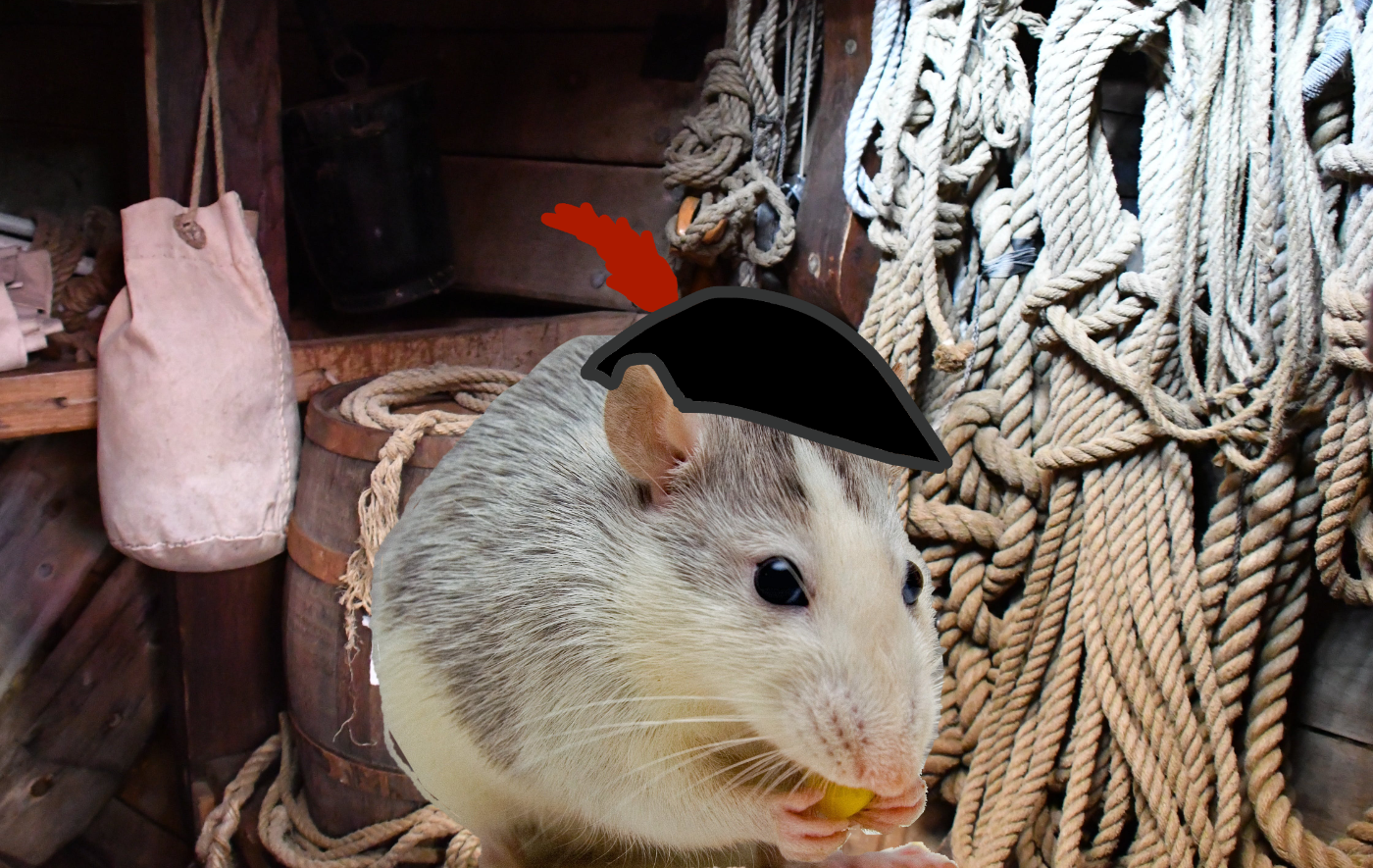 A rat wearing a pirate hat below decks on a ship.