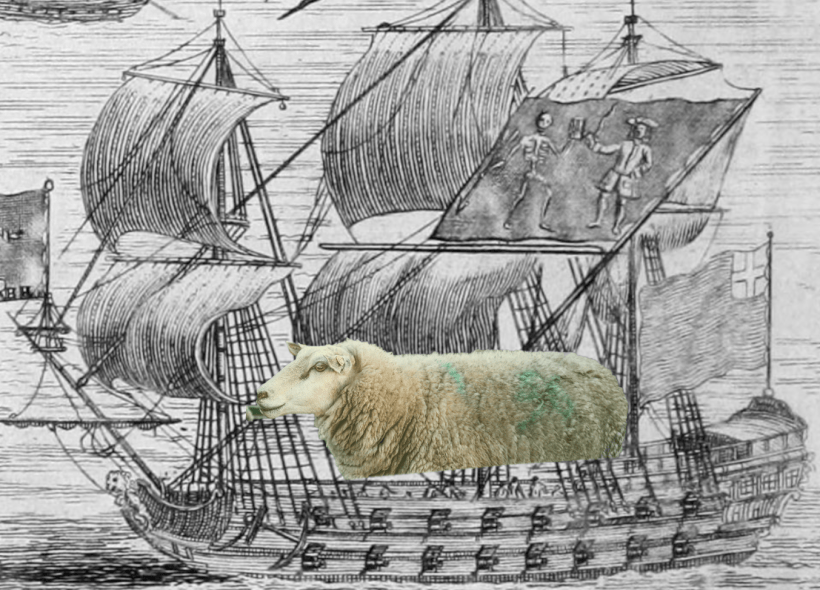 A sheep on a pirate ship