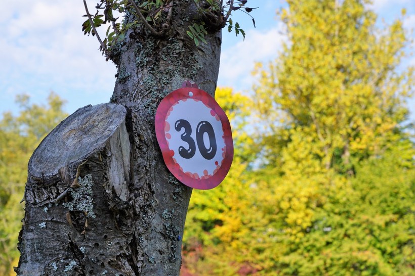 A sign with 30 on it nailed to a tree.