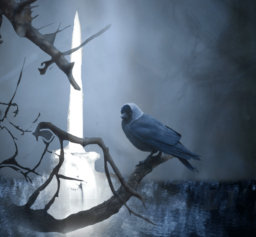 A hand holding a sword emerging from a lake with a bird on a branch in the foreground.