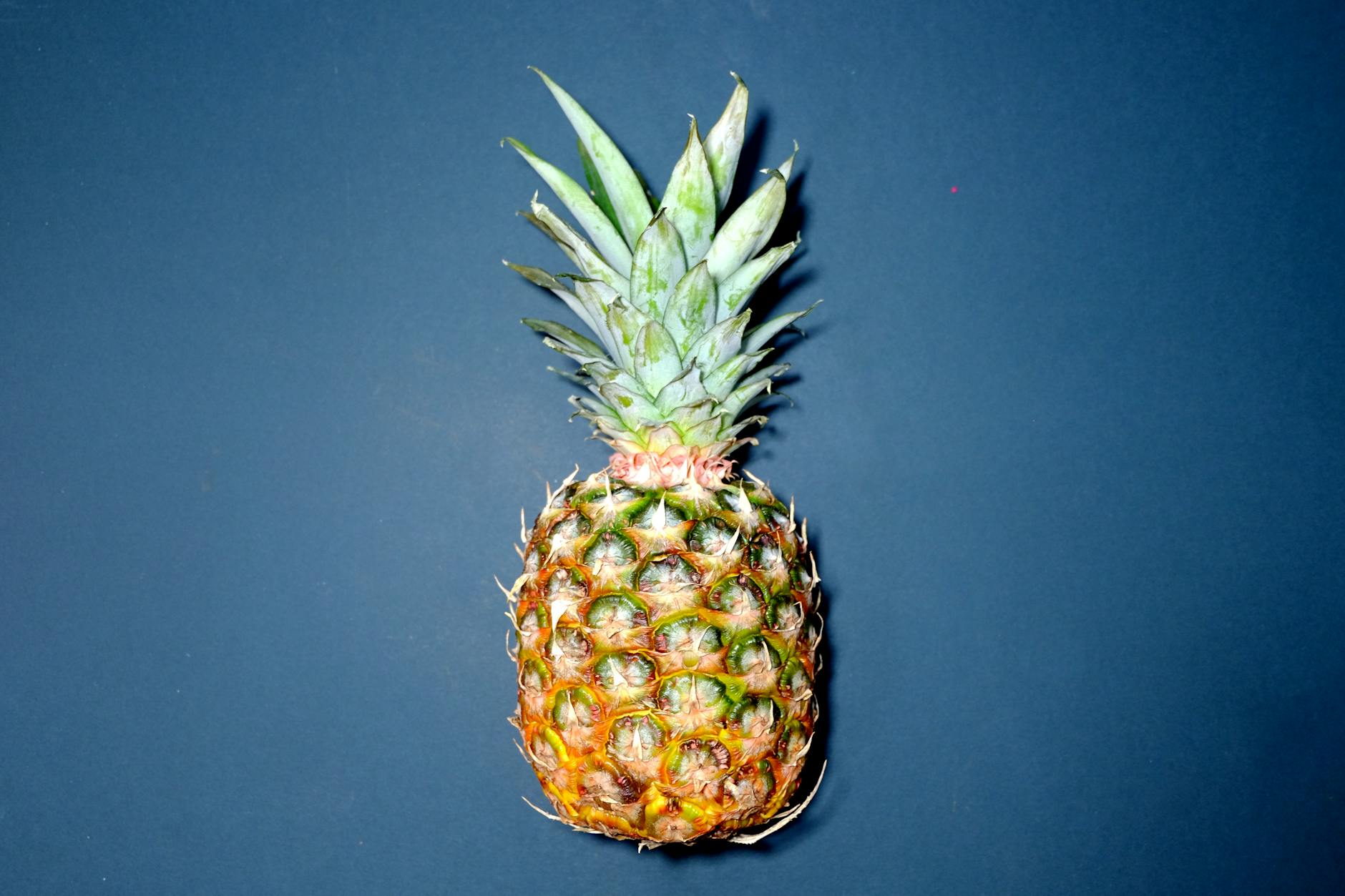 A pineapple.