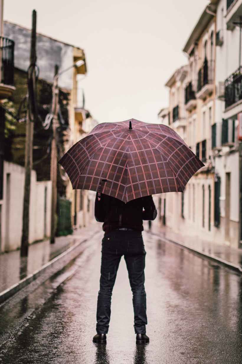 A person holding an umbrella, seen from behind.