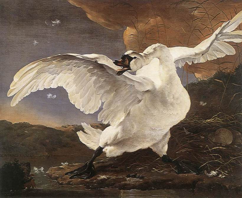 Jan Asselijn's painting 'The Threatened Swan.'