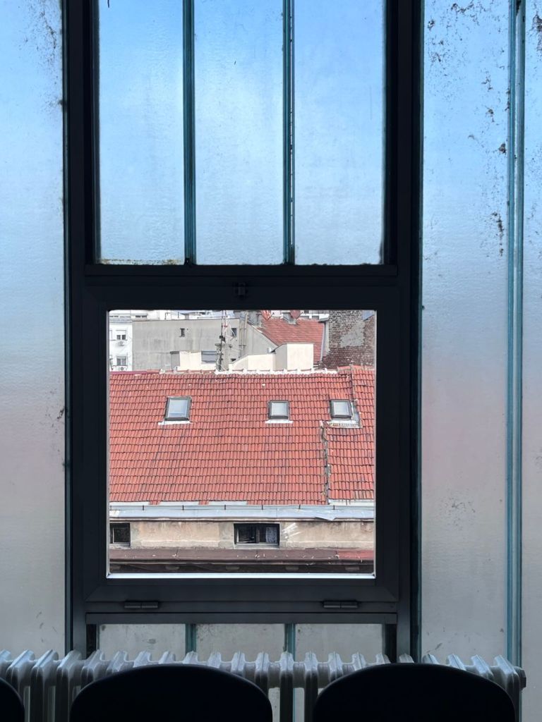 A window overlooking the roof of another building.