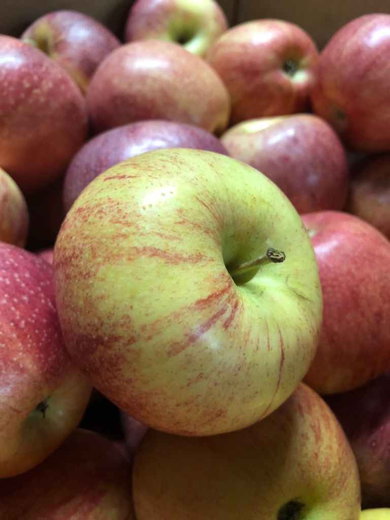 Apples