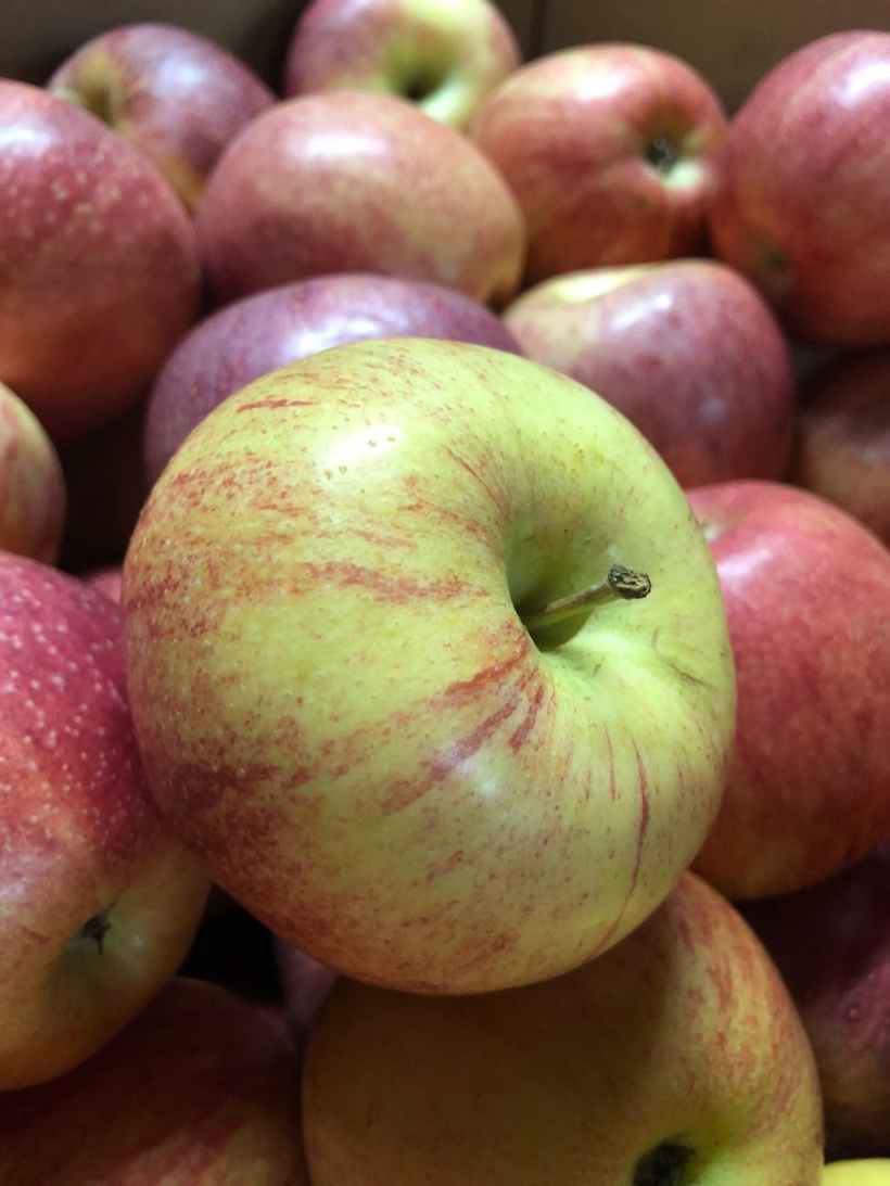 Apples