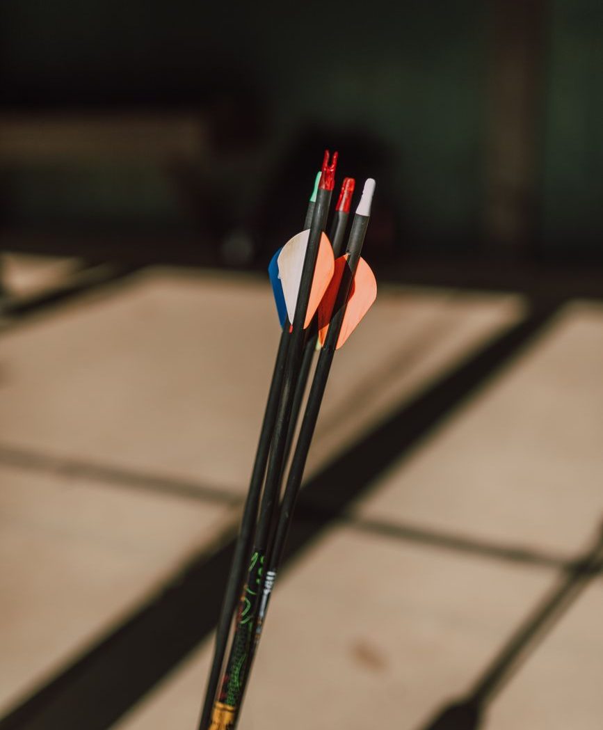 The shafts of several arrows.