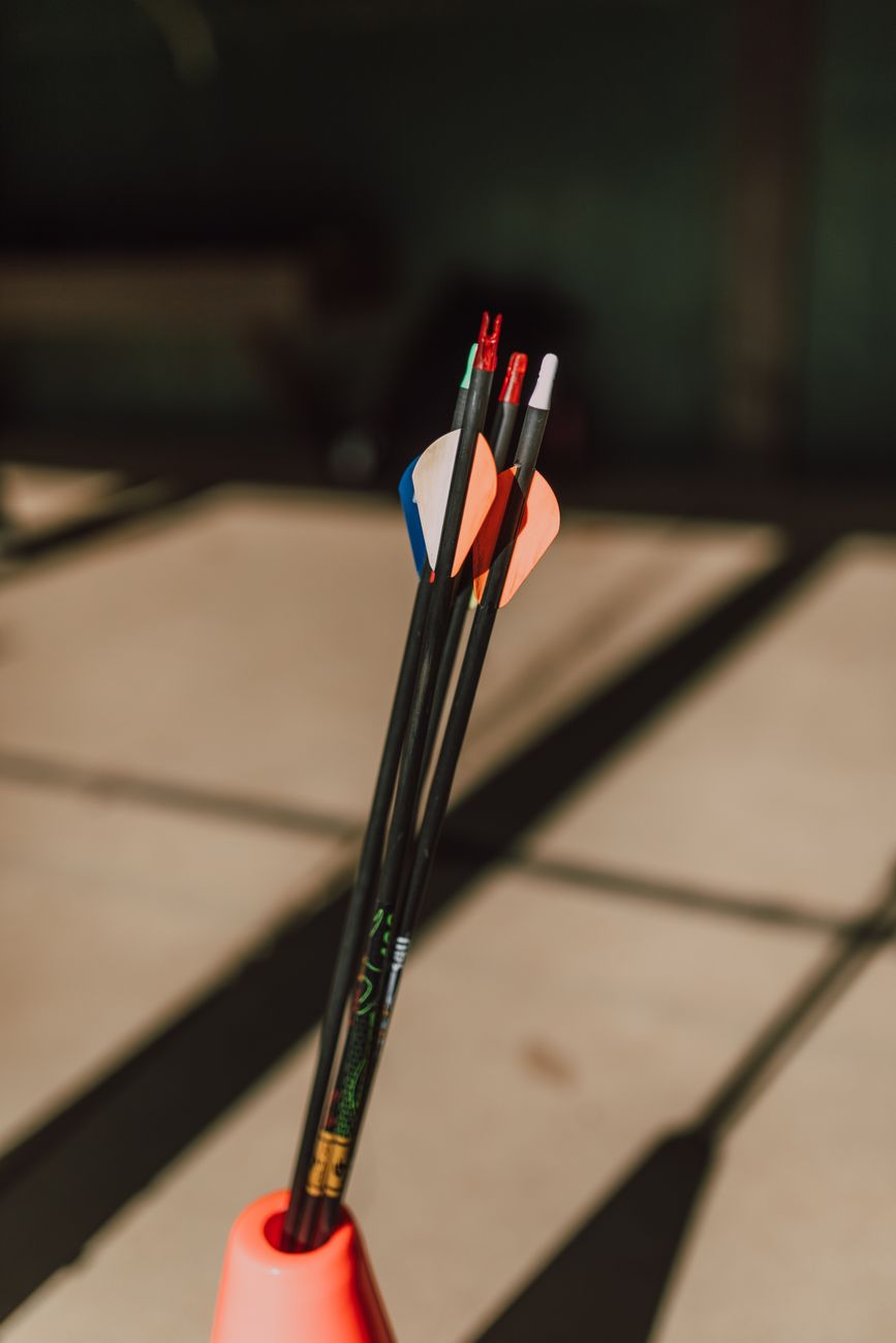 The shafts of several arrows.