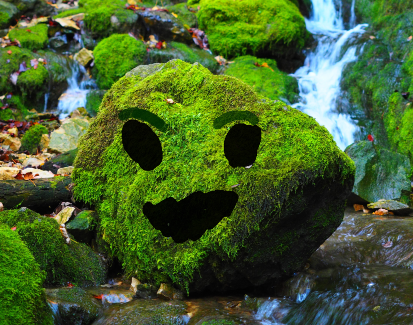 A moss-covered rock with a face drawn on it.